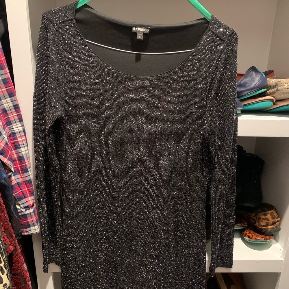 Express Sparkle Dress